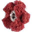 PFERD POLINOX polerstjärnor PNST 25-2 A 280